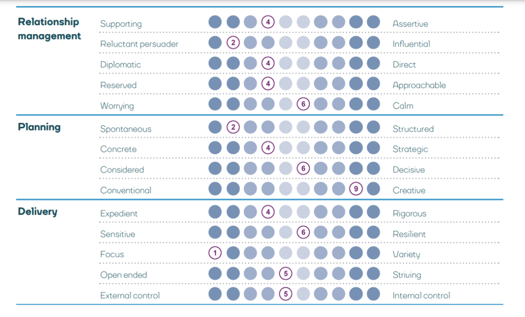 Personality report - Project Manager personality test